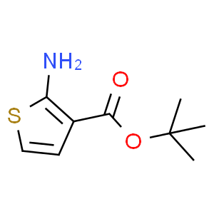Tert-butyl 2-aminothiophene-3-carboxylate