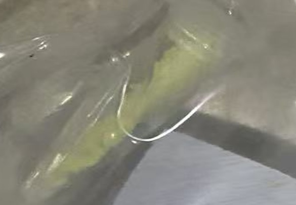 Appearance image for 2,5-dichloro-4-methylsulfonylbenzoic acid
