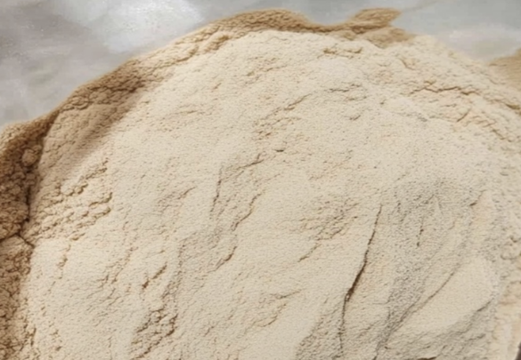 Appearance image for Methyl 6-amino-4-chloronicotinate