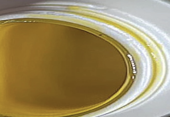 Appearance image for 3-(Piperazin-1-yl)propan-1-amine