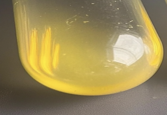 Appearance image for 3-Fluoro-2-methoxy-6-methylpyridine