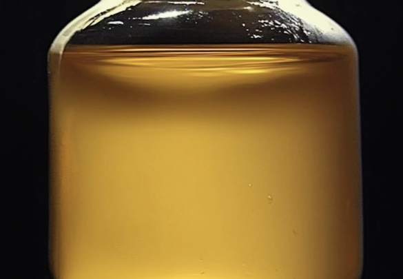 Appearance image for 4-hydroxy-cyclohexanone