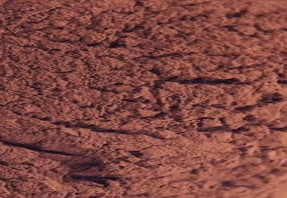 Appearance image for Ethyl 5-bromonicotinate