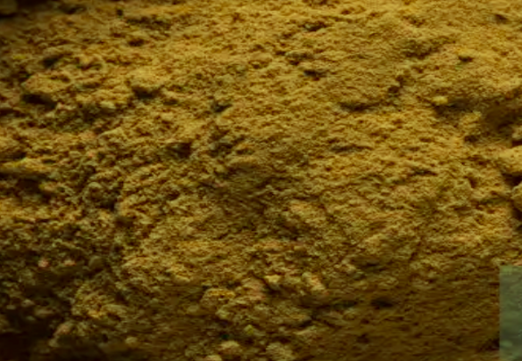 Appearance image for 3-Methylquinoline N-oxide