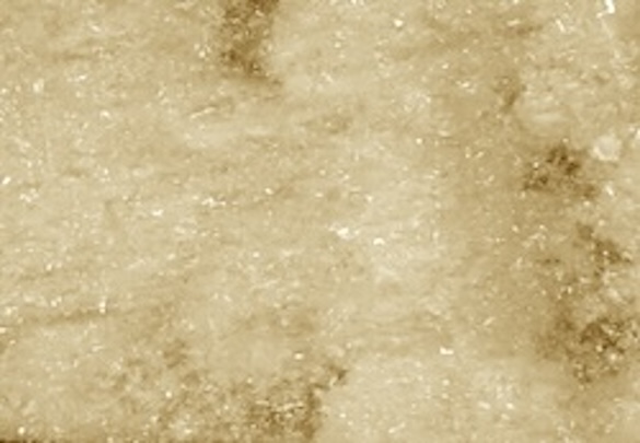 Appearance image for 3-AMino-4-broMo-thiophene-2-carboxylicacidMethylester