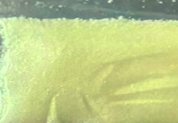 Appearance image for 7-Bromo-4,5-dihydro-1H-benzo[b][1,4]diazepin-2(3H)-one