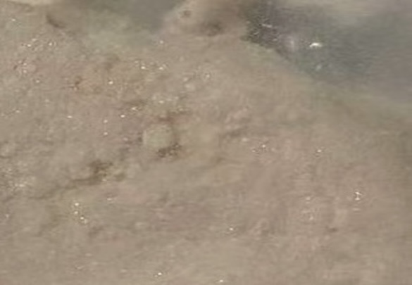 Appearance image for 4-Amino-5-bromo-2-methylpyridine