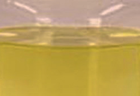 Appearance image for Methyl 4-Pyridinylacetate