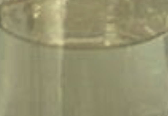 Appearance image for 2-Butyl-3-methylpyrazine
