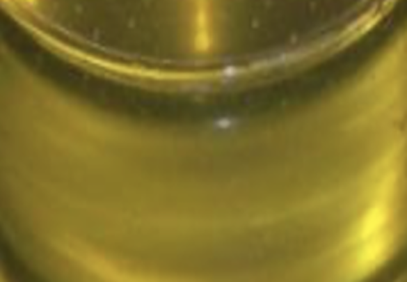 Appearance image for 2-Dimethylaminopyridine