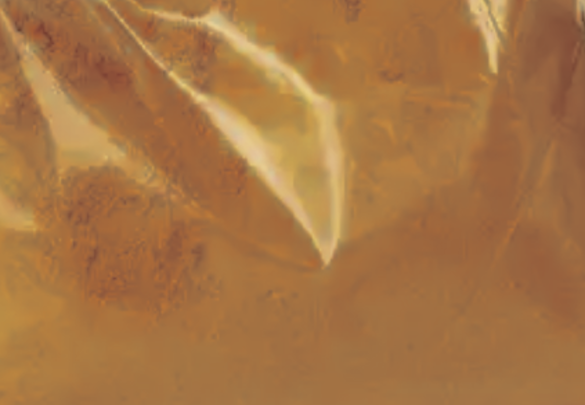 Appearance image for 7-Amino-1-tetralone