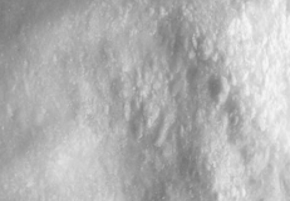 Appearance image for (2S)-2-methylpiperidin-4-one hydrochloride