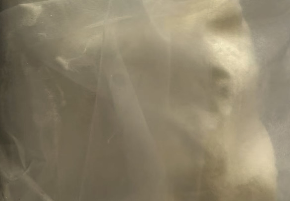 Appearance image for 1,5-Naphthyridin-2-amine