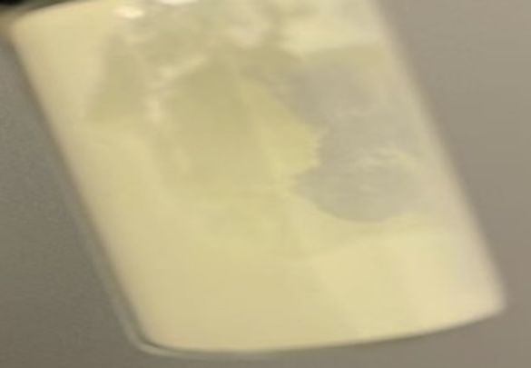 Appearance image for 3-Chloro-4-pyridineboronic acid hydrate