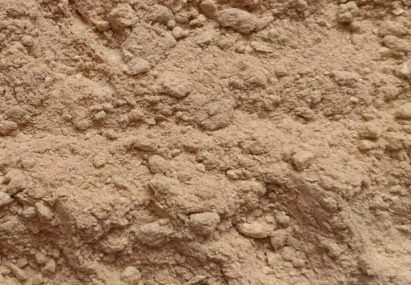 Appearance image for 2-bromo-5-methylthiopyridine