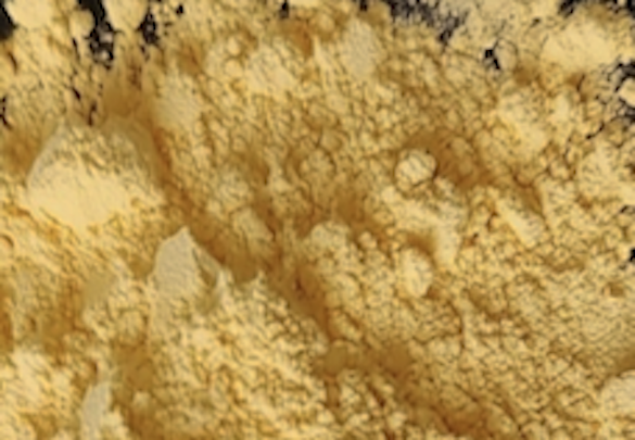 Appearance image for 2-Bromo-6-methyl-4-nitropyridin-1-oxide