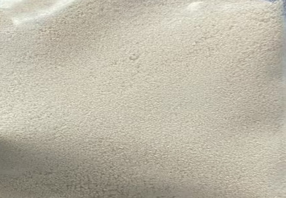 Appearance image for 2-Chlorobenzonitrile
