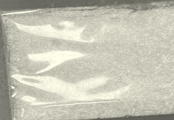 Appearance image for 5-Amino-1-methyl-1H-pyrazole-4-carboxylic acid