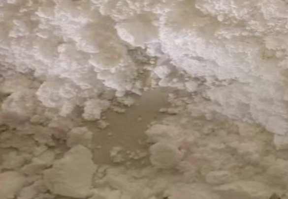 Appearance image for 6-Methoxy-7-hydroxyquinazolin-4-one