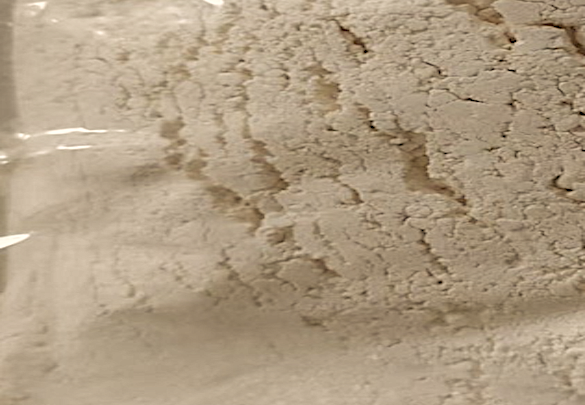 Appearance image for 3-Fluoro-4-nitropyridine-n-oxide