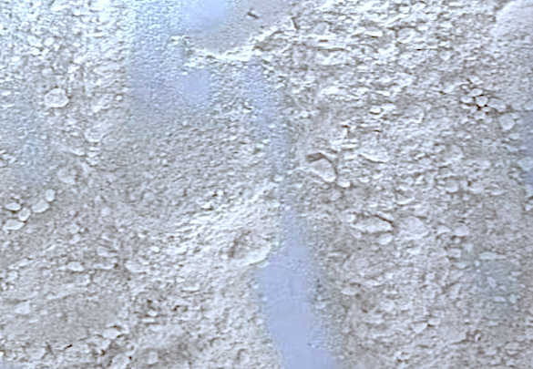 Appearance image for Methyl oxindole-6-carboxylate