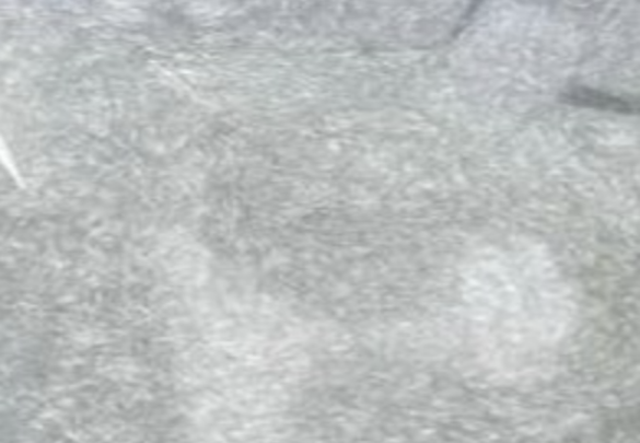 Appearance image for 3-Amino-4-bromopyrazole