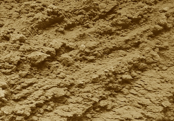 Appearance image for WHI-P97