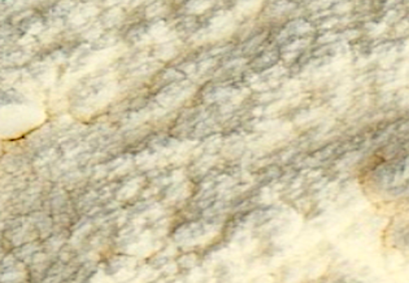 Appearance image for 2-Chloro-4-methanesulfonylpyridine