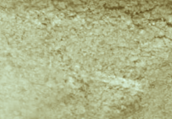 Appearance image for 4-bromo-5-methoxypyrimidine