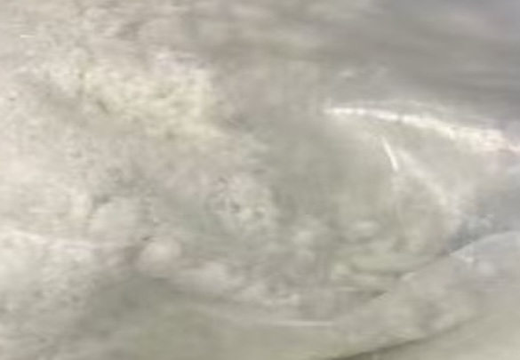 Appearance image for (S)-3-AMino-1-Methyl-piperidine dihydrochloride